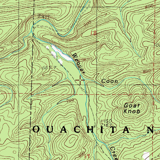 Topographic Map of Coon Branch, AR