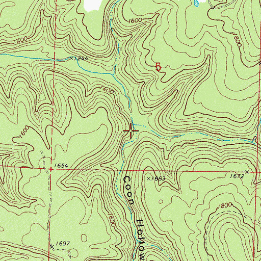 Topographic Map of Coon Hollow, AR