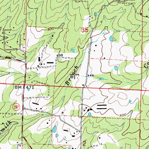 Topographic Map of Copper Branch, AR