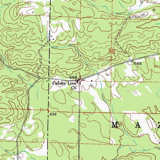 Topographic Map of County Line Church, AR