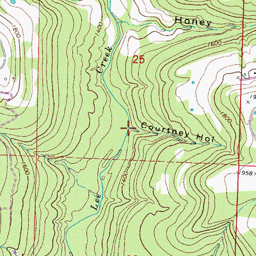 Topographic Map of Courtney Hollow, AR