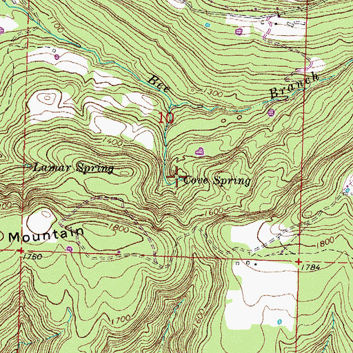 Topographic Map of Cove Spring, AR