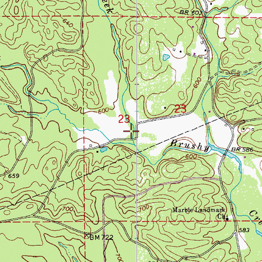 Topographic Map of Cub Creek, AR