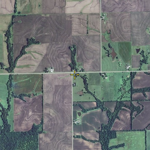 Aerial/Satellite Image of Adams School, MO