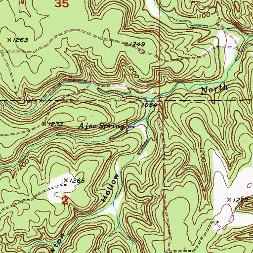 Topographic Map of Ajee Spring, MO