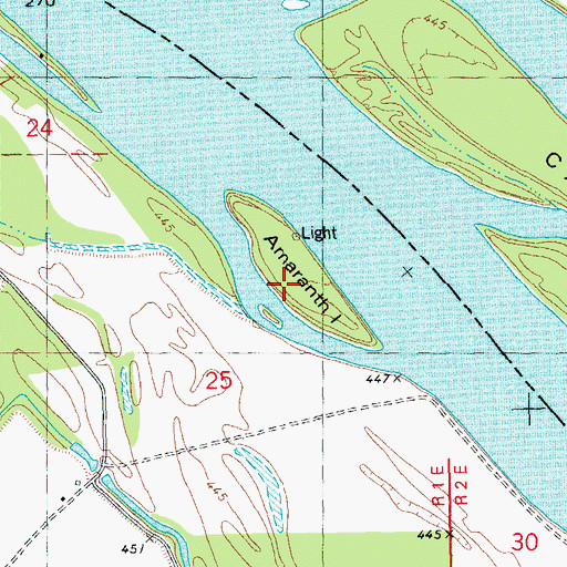 Topographic Map of Amaranth Island, MO
