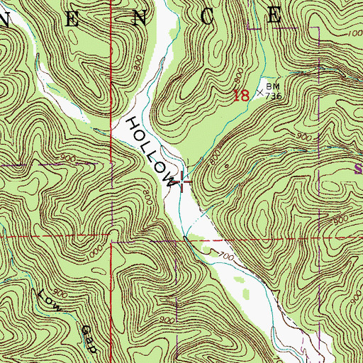 Topographic Map of Angeline Hollow, MO
