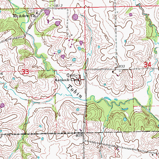 Topographic Map of Antioch Church, MO