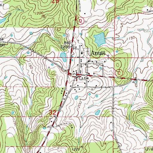 Topographic Map of Anutt, MO