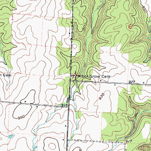 Topographic Map of Arbor Grove Cemetery, MO