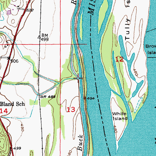 Topographic Map of Artesian Branch, MO