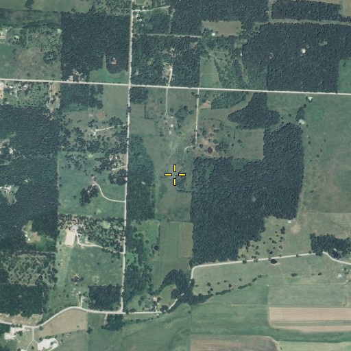 Aerial/Satellite Image of Arthur Cemetery, MO