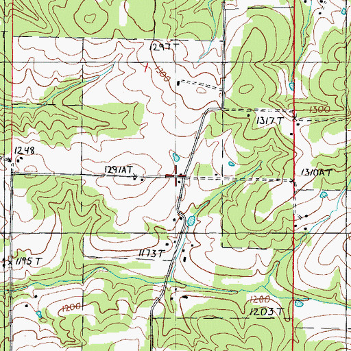 Topographic Map of Assembly of God Church, MO
