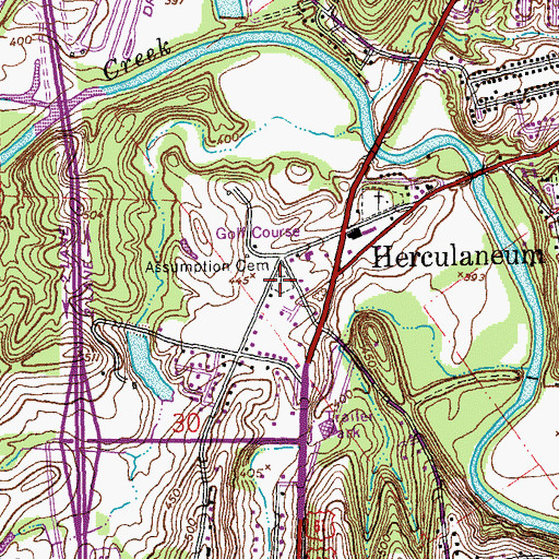 Topographic Map of Assumption Cemetery, MO