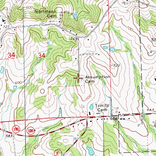 Topographic Map of Assumption Cemetery, MO