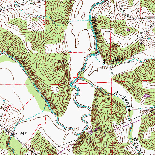 Topographic Map of Audrain Branch, MO