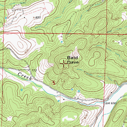 Topographic Map of Bald Dave, MO