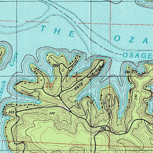 Topographic Map of Bald Ridge, MO