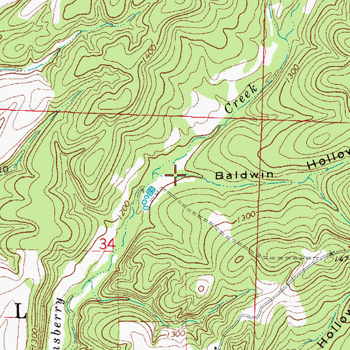 Topographic Map of Baldwin Hollow, MO