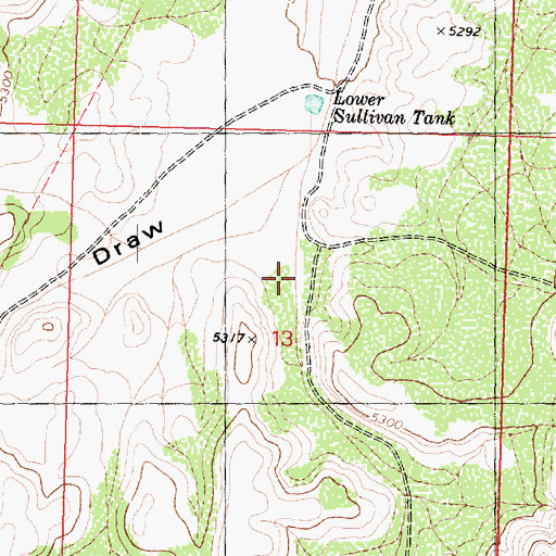Topographic Map of Little Joe Draw, AZ