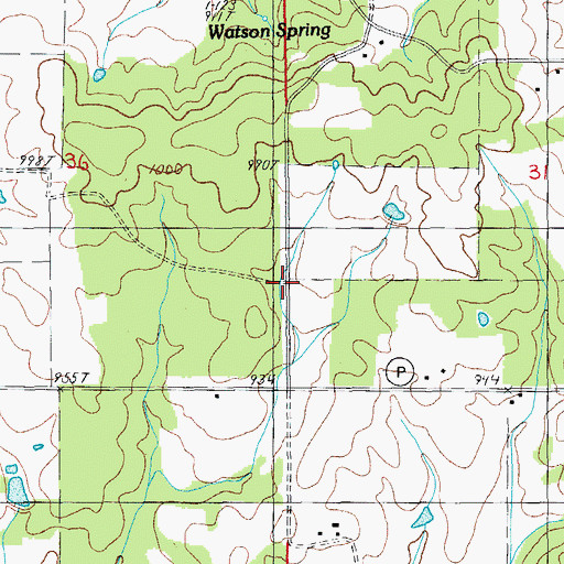 Topographic Map of Bales School (historical), MO