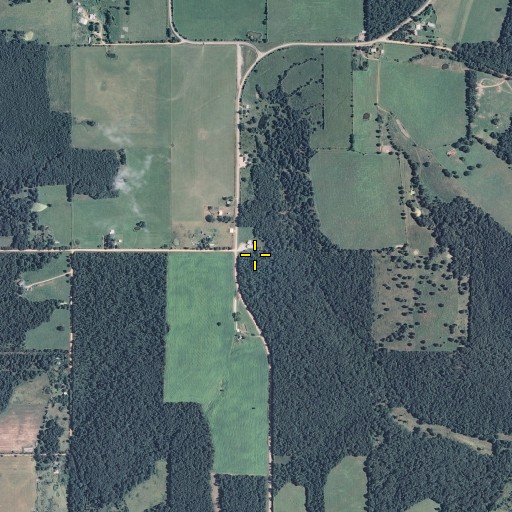 Aerial/Satellite Image of Ballard School, MO