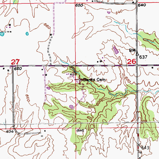 Topographic Map of Banks Cemetery, MO