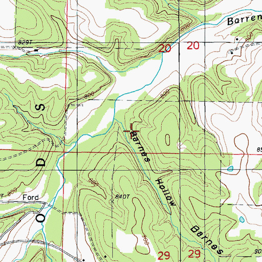 Topographic Map of Barnes Hollow, MO