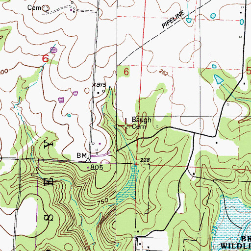 Topographic Map of Baugh Cemetery, MO