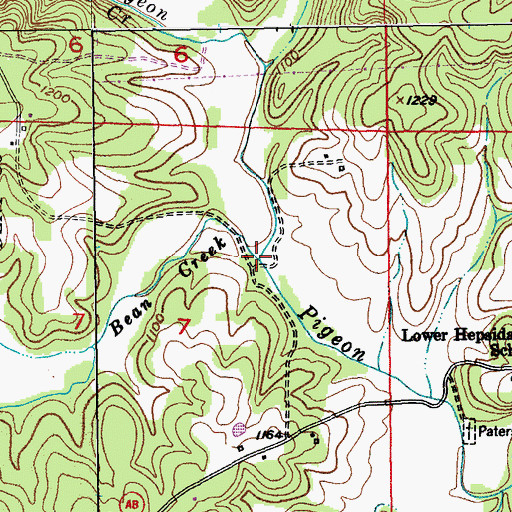 Topographic Map of Bean Creek, MO