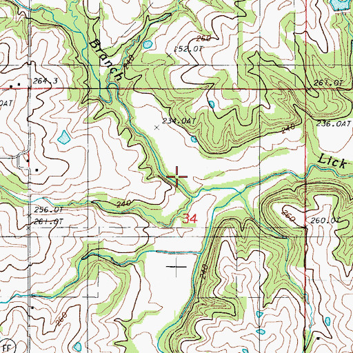 Topographic Map of Bear Branch, MO