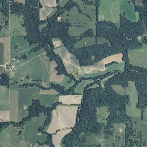Aerial/Satellite Image of Bear Branch, MO