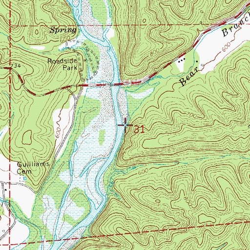 Topographic Map of Bear Branch, MO