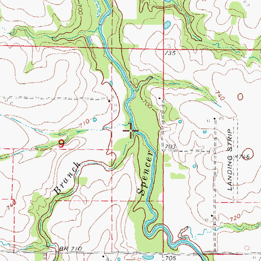 Topographic Map of Bear Branch, MO