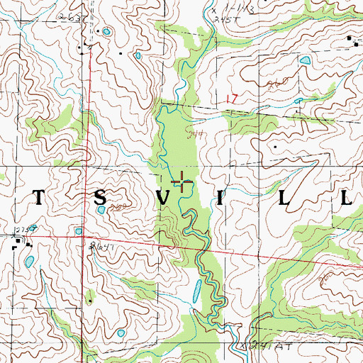 Topographic Map of Bear Branch, MO