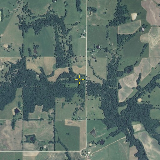 Aerial/Satellite Image of Bear Branch School, MO