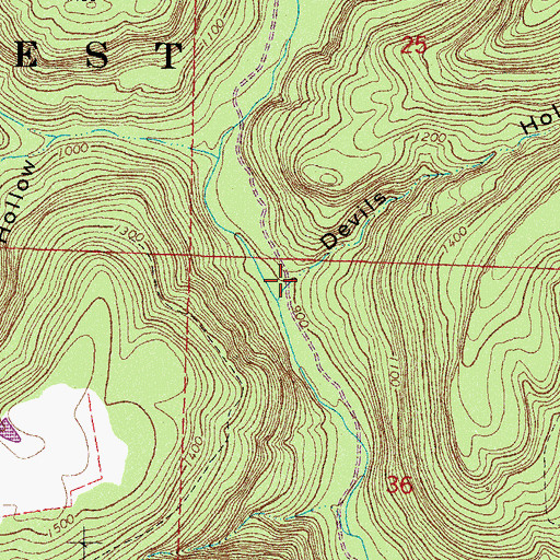 Topographic Map of Devils Hollow, AR
