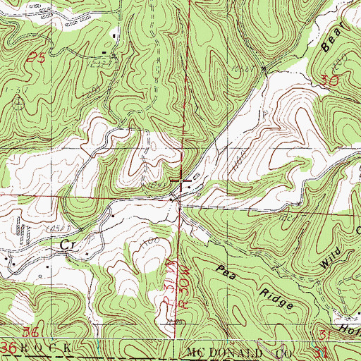 Topographic Map of Bear Hollow, MO