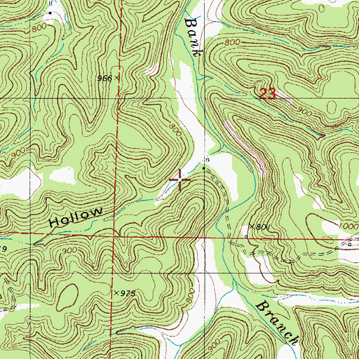 Topographic Map of Bear Hollow, MO