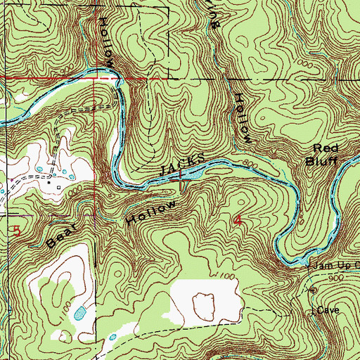 Topographic Map of Bear Hollow, MO