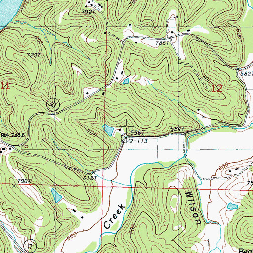 Topographic Map of Bear School, MO