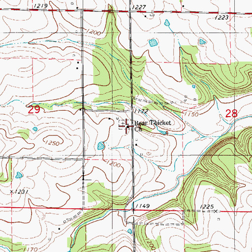 Topographic Map of Bear Thicket Church, MO