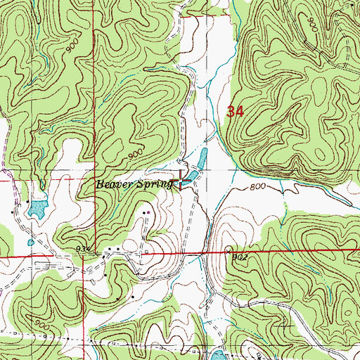 Topographic Map of Beaver Spring, MO