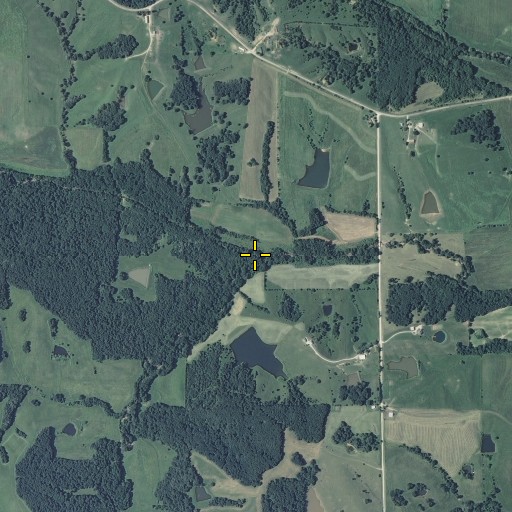 Aerial/Satellite Image of Bee Branch, MO