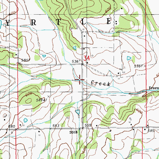 Topographic Map of Bee Fork, MO