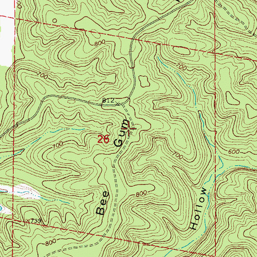 Topographic Map of Bee Gum Ridge, MO