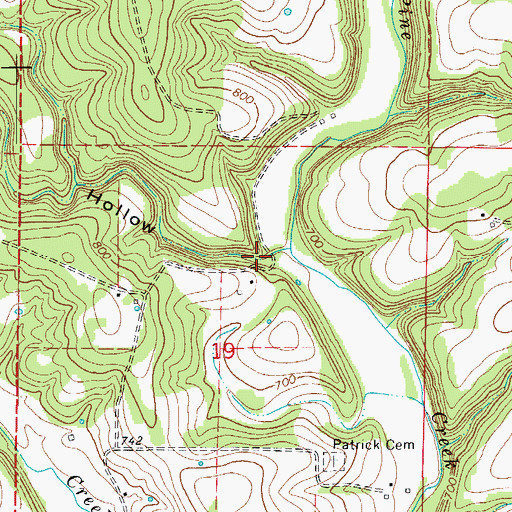 Topographic Map of Bee Hollow, MO