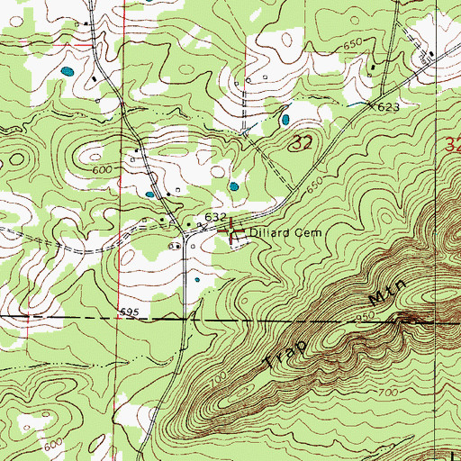 Topographic Map of Dillard Cemetery, AR