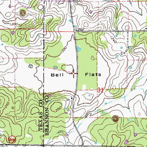 Topographic Map of Bell Flats, MO