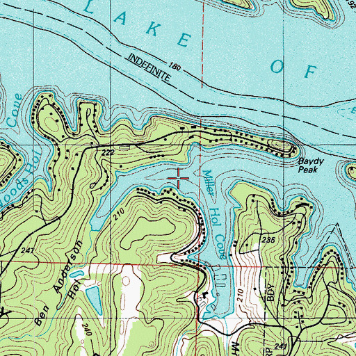 Topographic Map of Ben Anderson Hollow, MO
